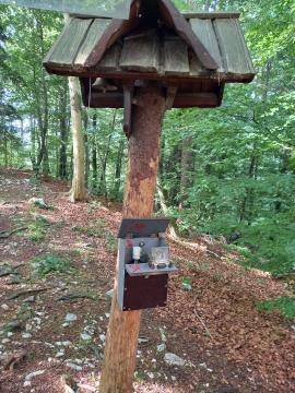 Pohod bosonogih na Vovar (5)